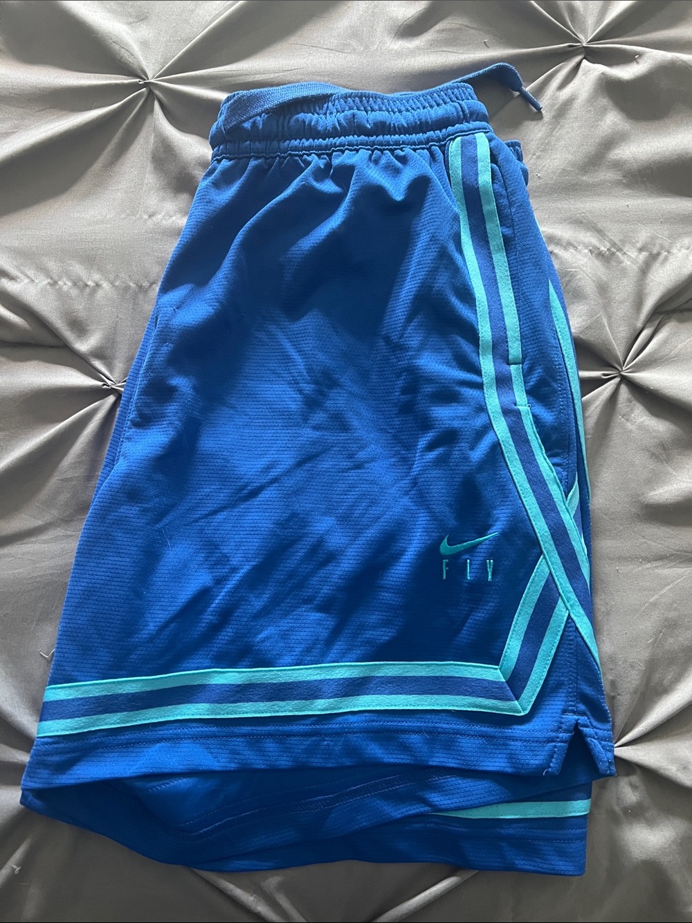 Nike Men’s Royal Blue Athletic Shorts with Teal Trim